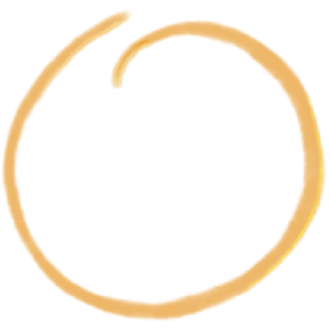 cropped-9046529A-F630-4B8B-9D67-FDD267E93FF5